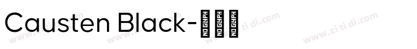 Causten Black字体转换
